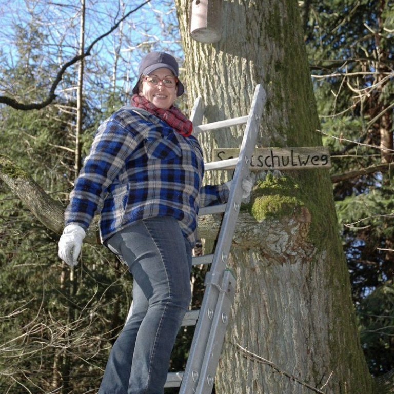 Ein Mitglied der Aktiven Gaiberger steigt auf einer Leiter zu einem Nistkasten im Gaiberger Wald